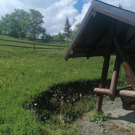 Pensiunea Casa Fierarul Din Bucovina Vatra Moldoviţei Exterior foto