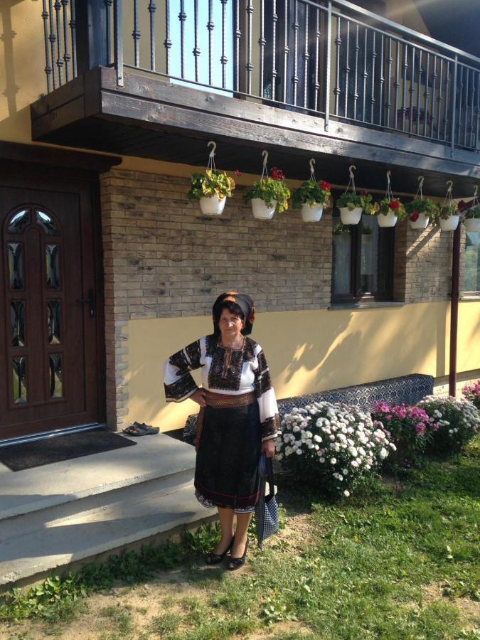 Pensiunea Casa Fierarul Din Bucovina Vatra Moldoviţei Exterior foto