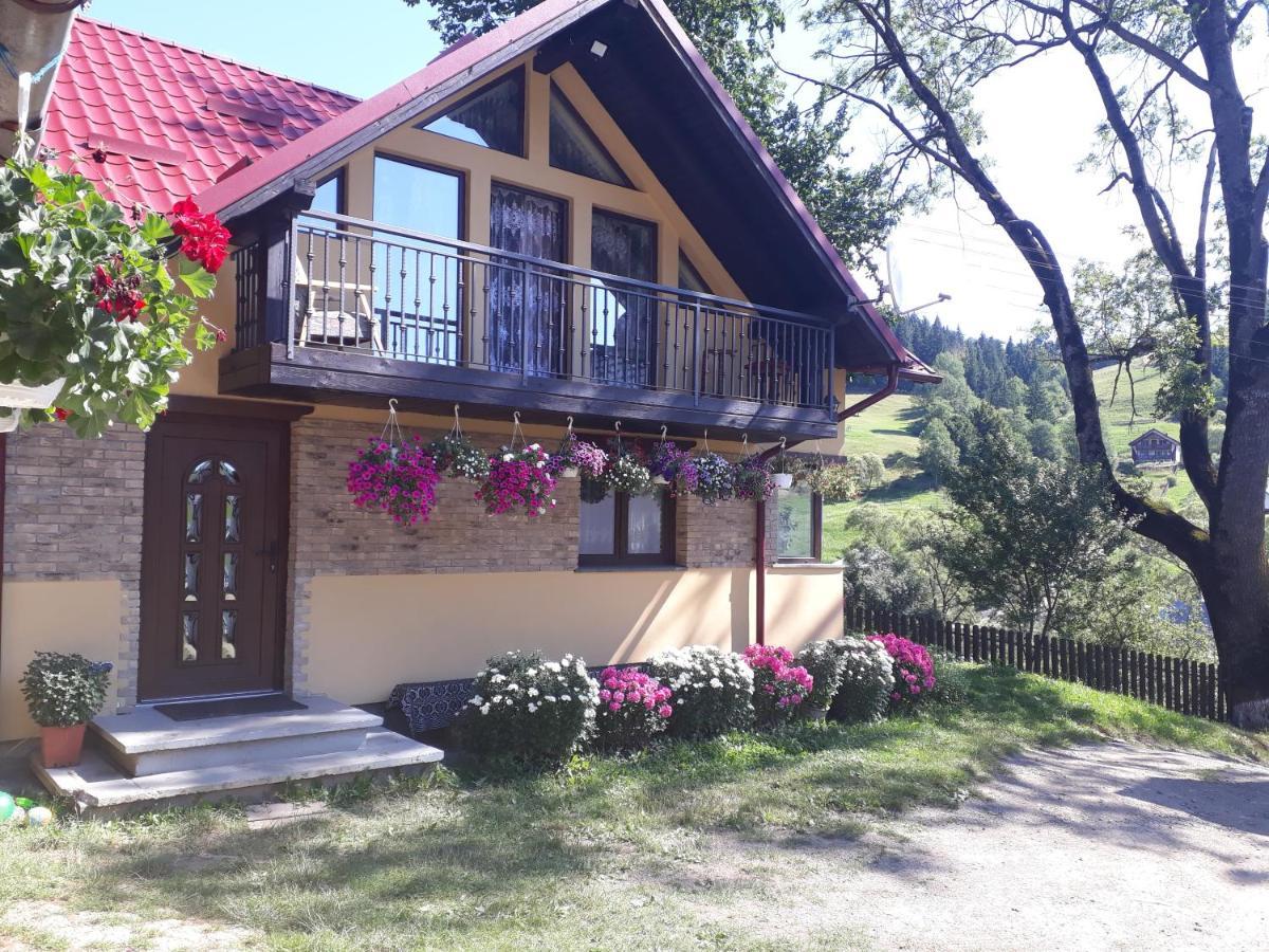 Pensiunea Casa Fierarul Din Bucovina Vatra Moldoviţei Exterior foto