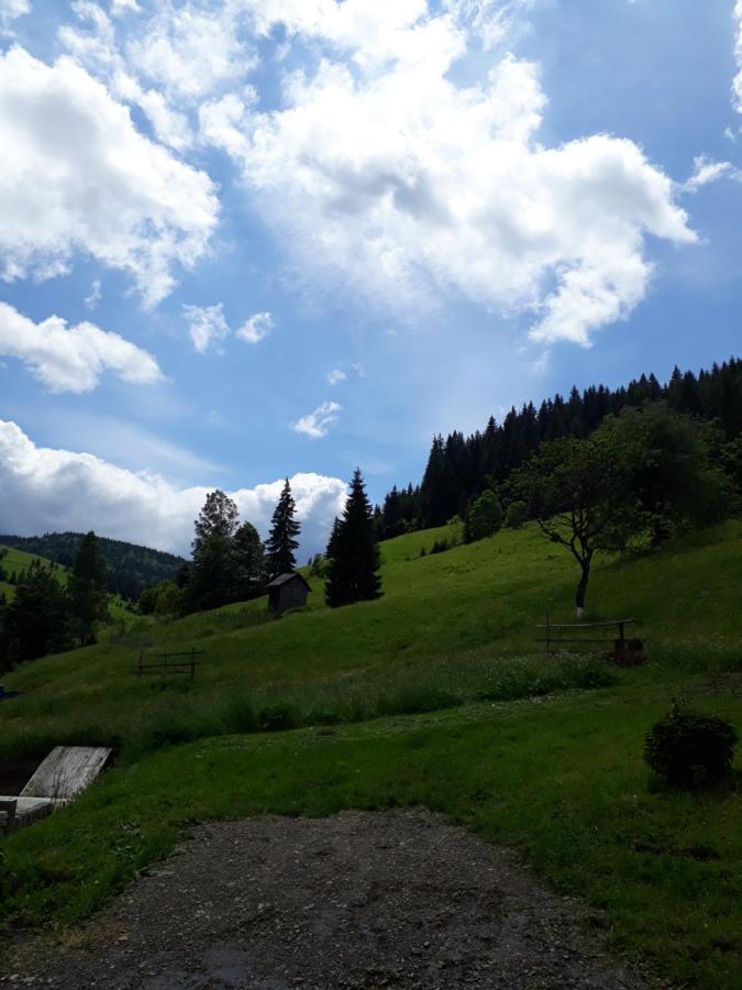 Pensiunea Casa Fierarul Din Bucovina Vatra Moldoviţei Exterior foto