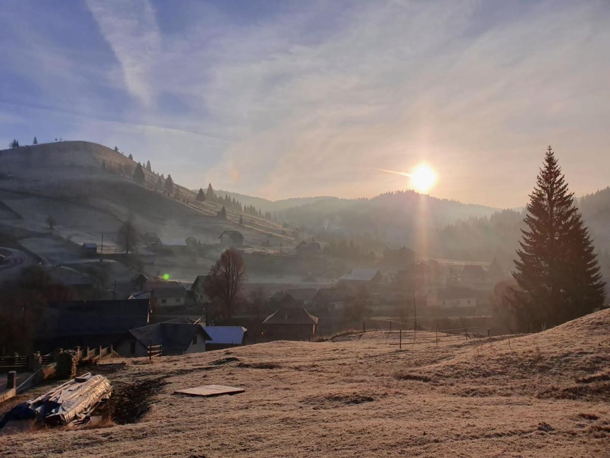 Pensiunea Casa Fierarul Din Bucovina Vatra Moldoviţei Exterior foto