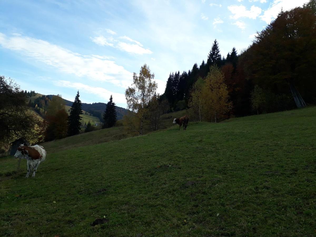 Pensiunea Casa Fierarul Din Bucovina Vatra Moldoviţei Exterior foto