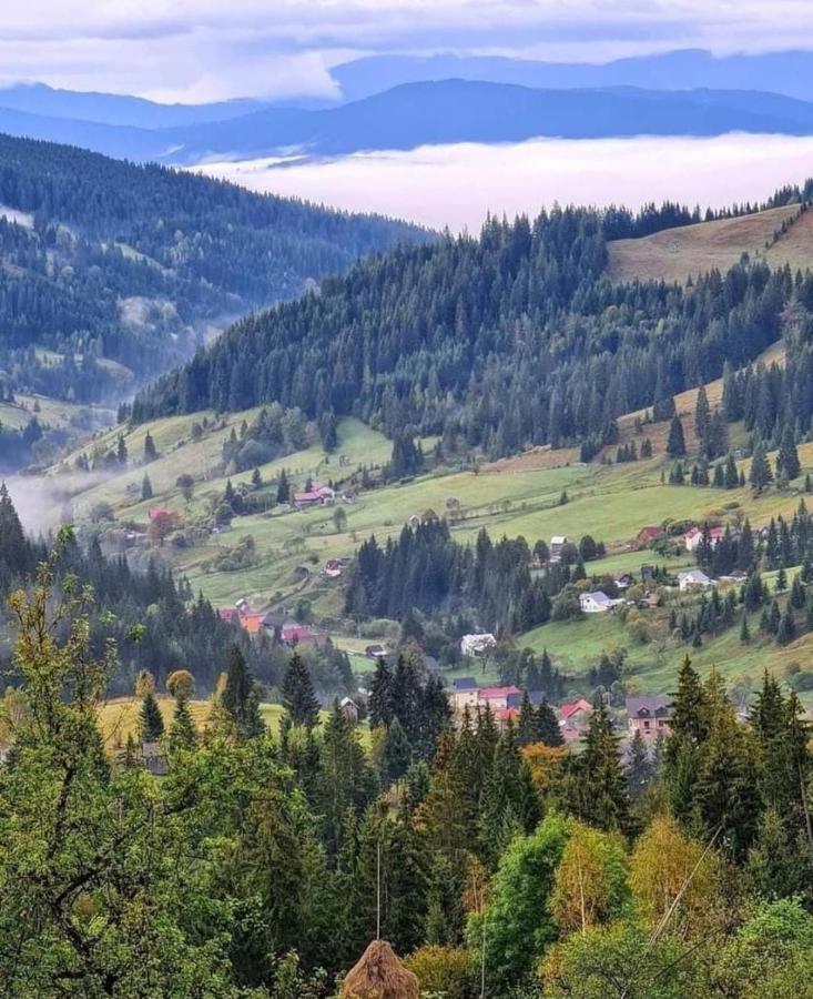 Pensiunea Casa Fierarul Din Bucovina Vatra Moldoviţei Exterior foto