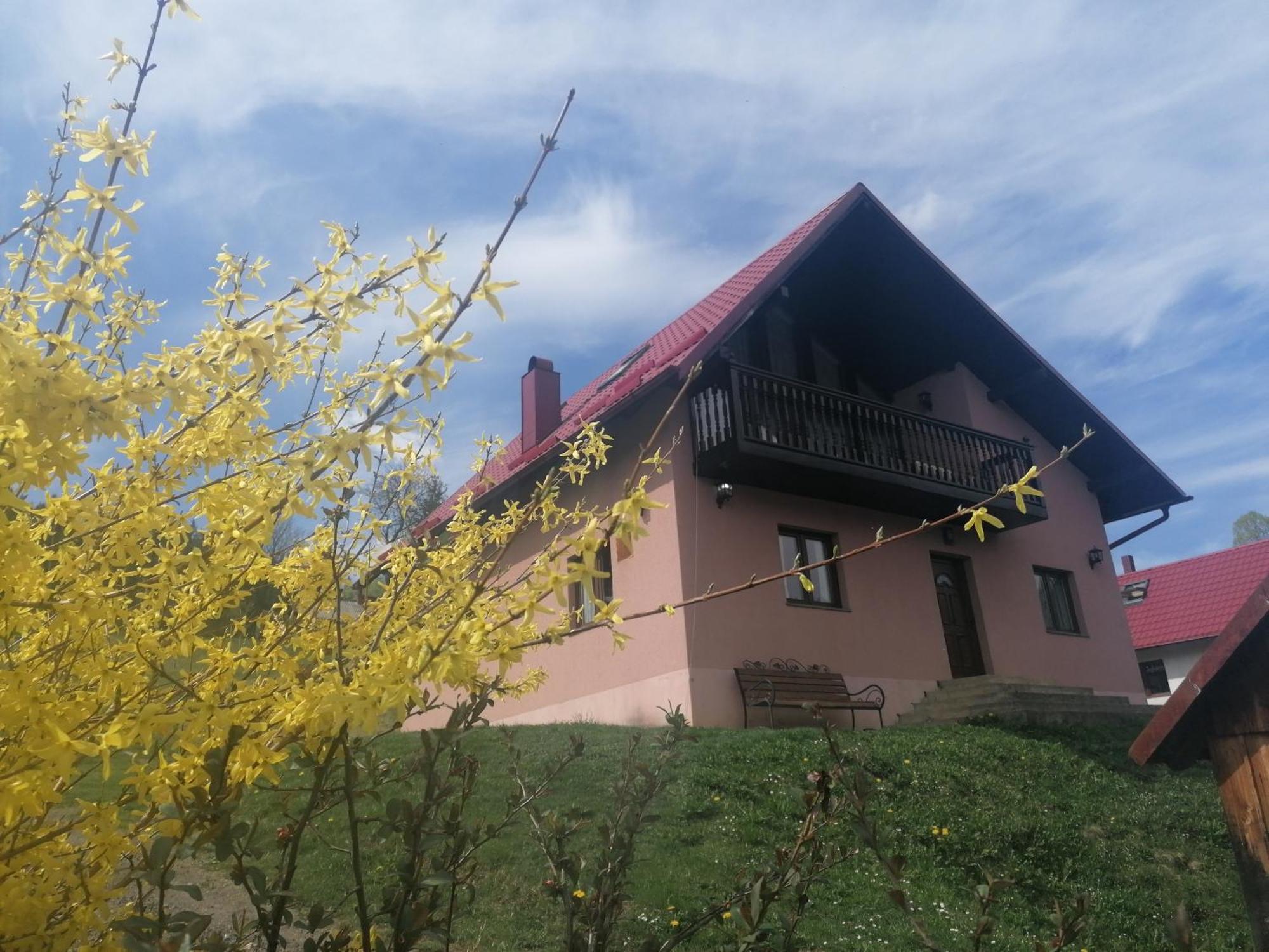 Pensiunea Casa Fierarul Din Bucovina Vatra Moldoviţei Zimmer foto