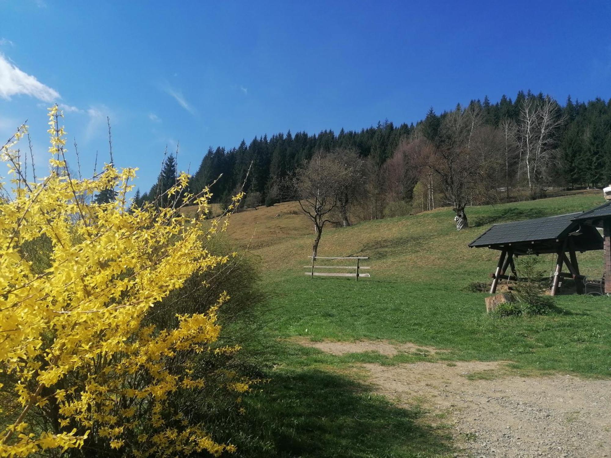 Pensiunea Casa Fierarul Din Bucovina Vatra Moldoviţei Zimmer foto